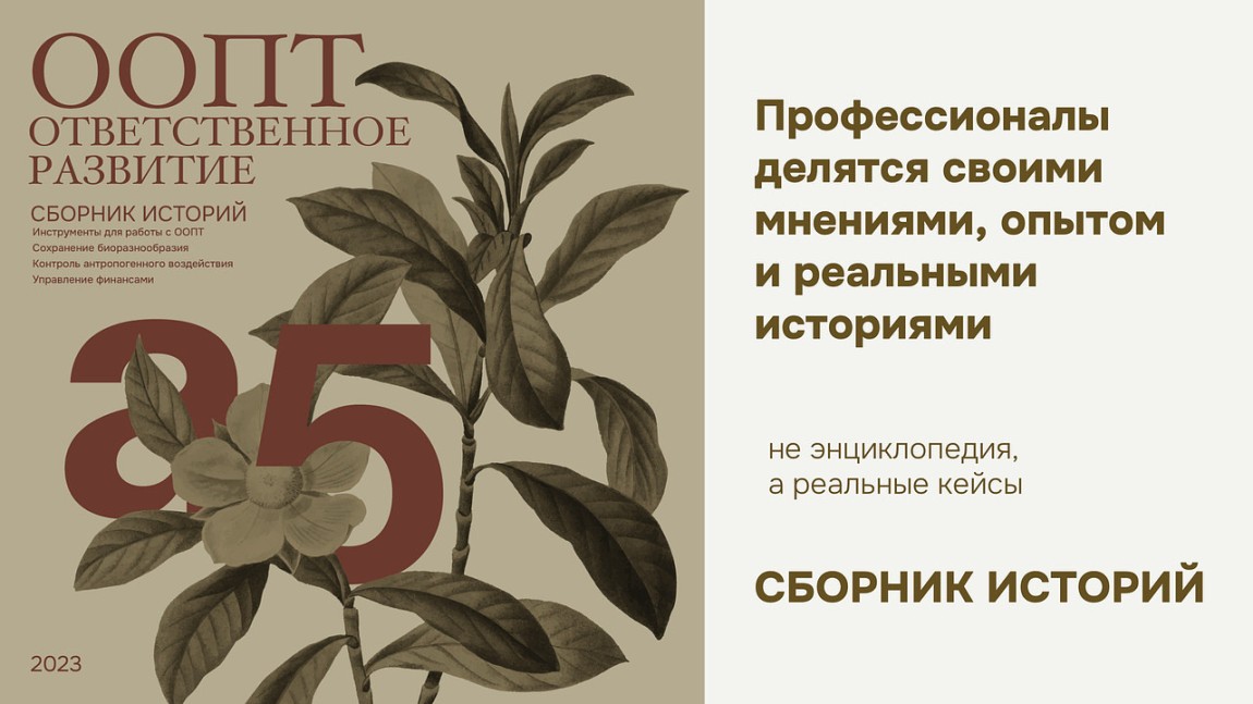 ООПТ в городе: ответственное развитие