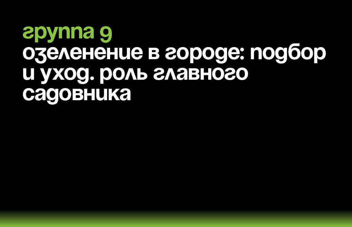 Зеленый каркас: система управления городскими насаждениями